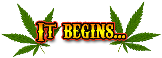 Mardigrass Will Become A Festival When We Can Celebrate - 100% Natural Cannabis Twin Duvet (600x214)