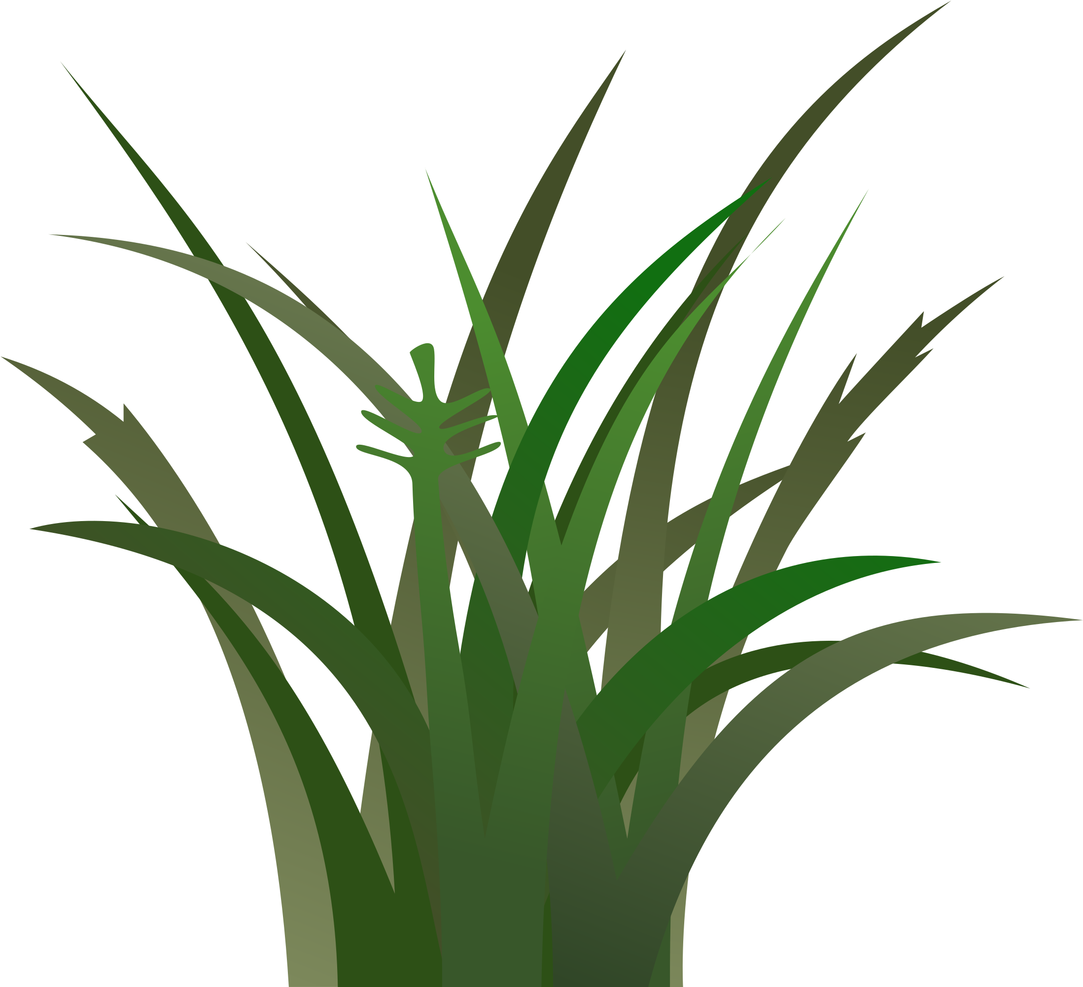 Grass - Vegetation Clipart (2400x2400)