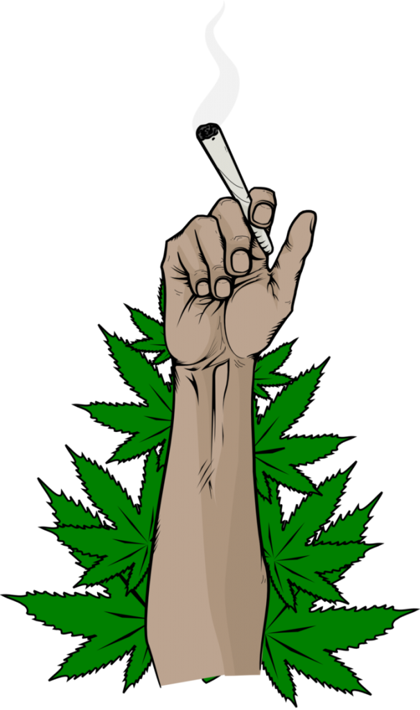 Weed Clipart Grass Root - Marihuana Png (606x1024)