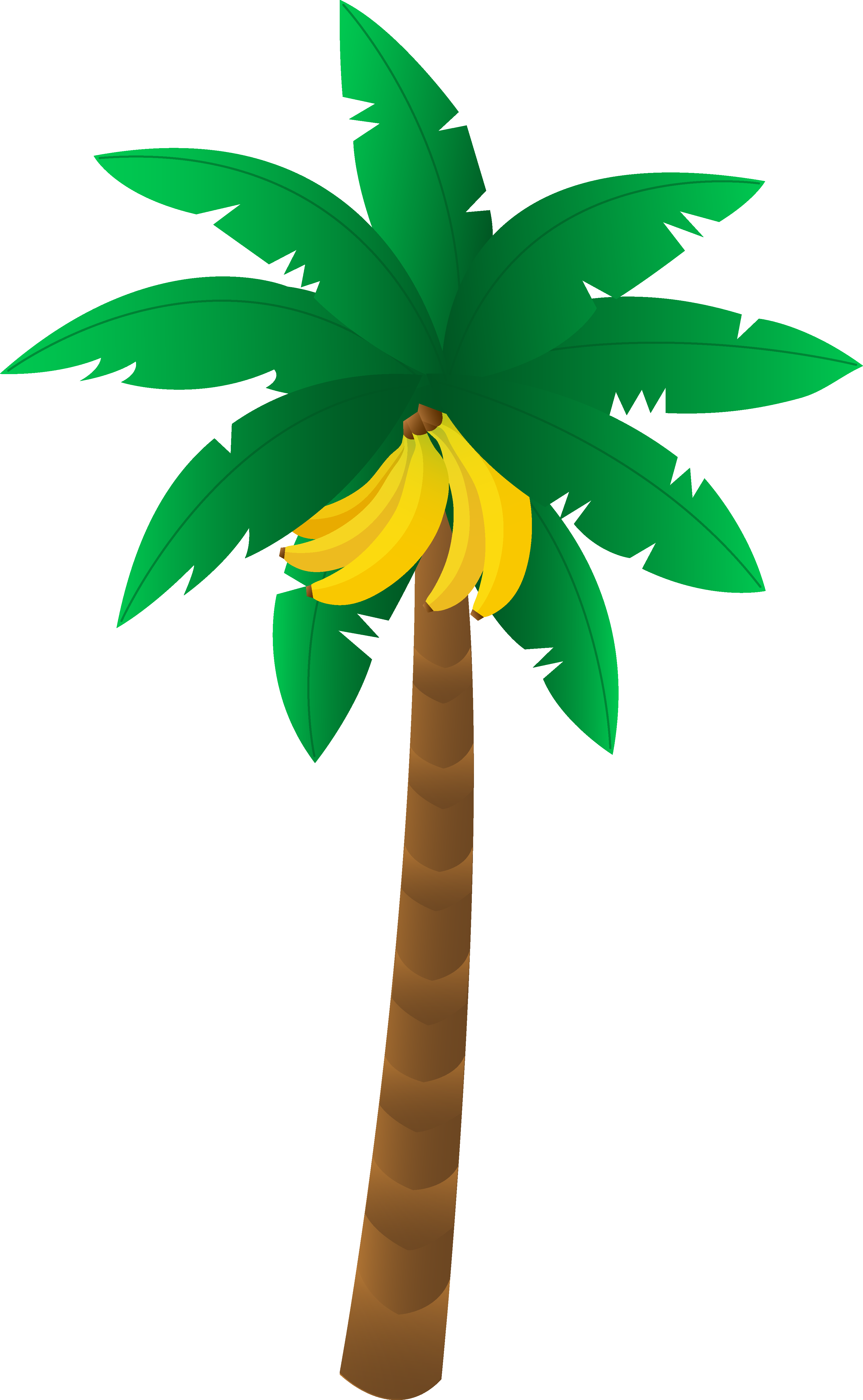 Banana Tree Leaf Outline Clipart - Clip Art Banana Tree (3305x5359)