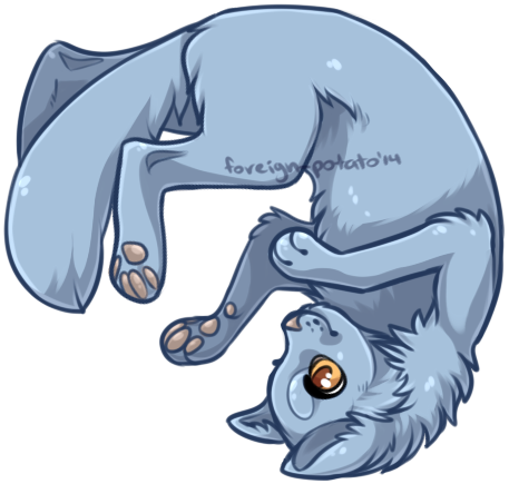 Rolly Cat Lines By Foreign-potato - Cartoon (457x435)