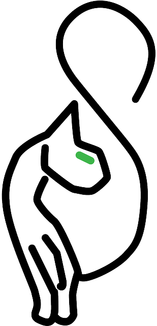 Cat, Stylized, Cats, Kitten, Long, Animal, Tail, Kitty - Kitty Cat Symbol (320x640)