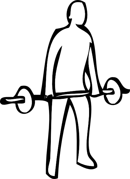 Weights Cliparts - Weight Lifting Clip Art (432x592)