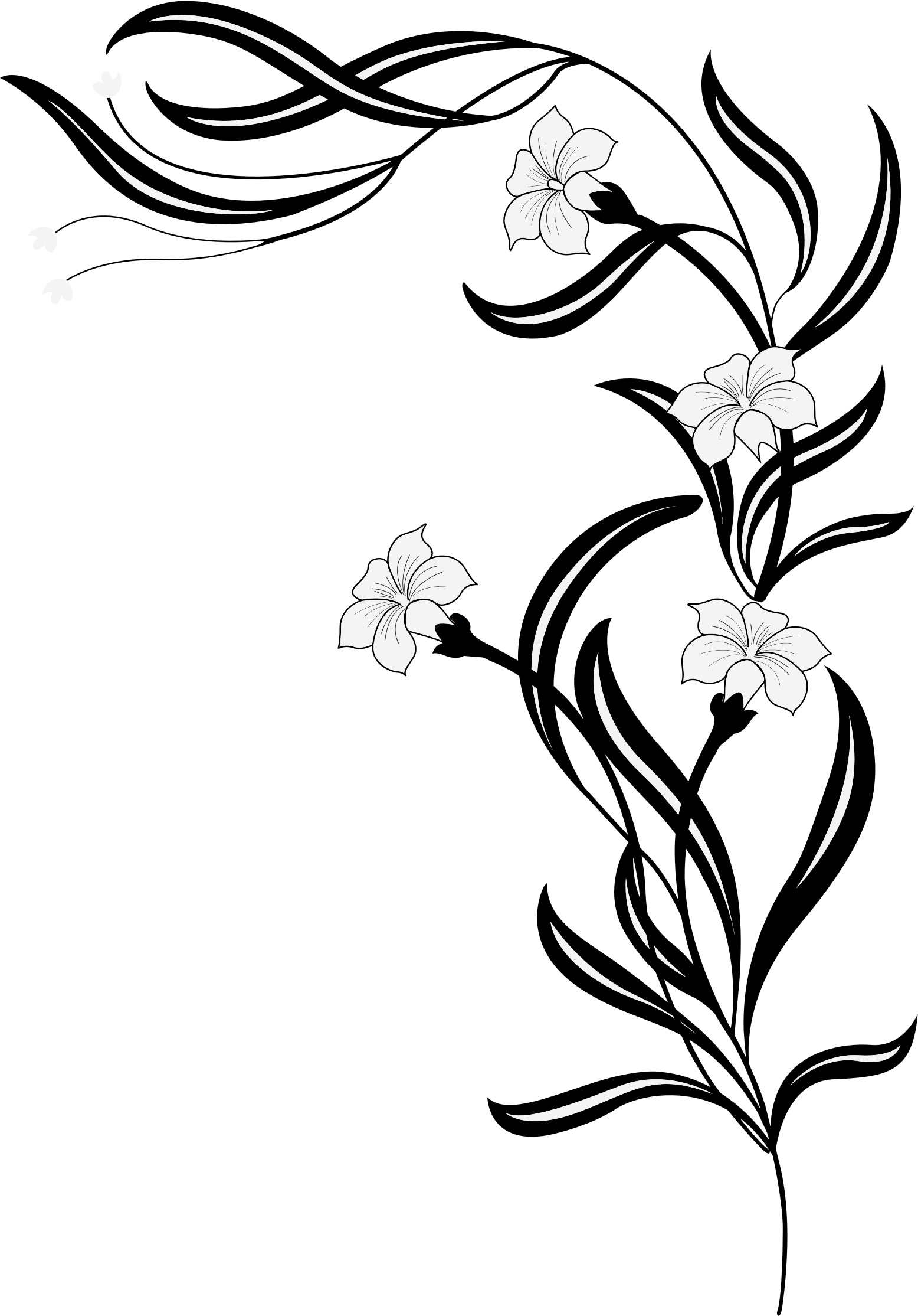 Big Image - Flower Vine Clipart Black And White (1556x2229)