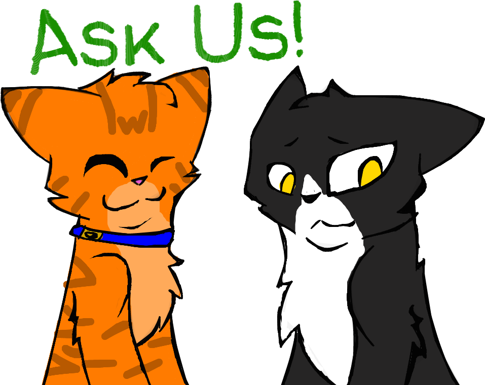 Ask Us By Ask Tallstar X Jake - Tallstar X Jake Ask Us (1560x759)