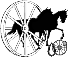 Horse And Carriage Driving For The Disabled - Plume Holders (400x400)