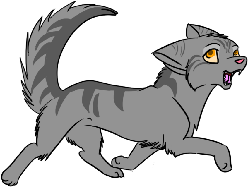 Graypaw By Darkflight-wolf - Gray Wolf (900x678)
