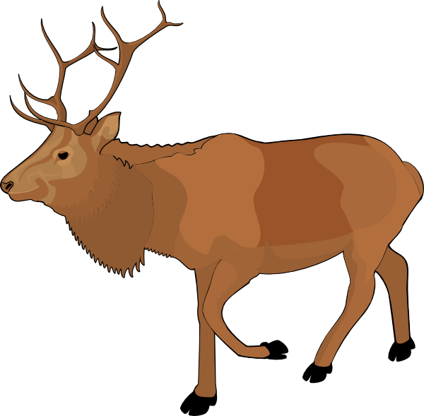 Clipart Ticket Image Raindeer Clipart Illustration - Real Reindeer Clipart (600x589)