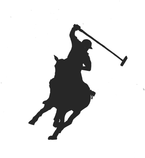 Polo Silhouette - Polo Silhouette (600x568)