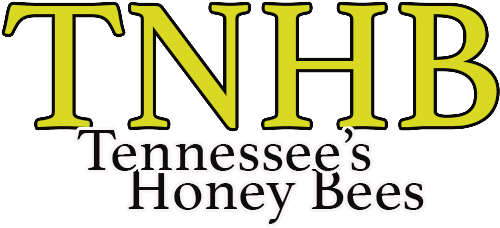 Tennessee's Honey Bees - Tennessee's Honey Bees (576x294)