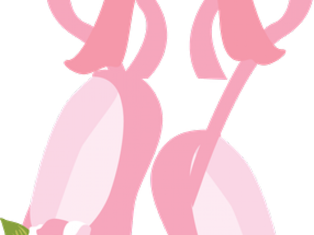 Ballerine Clipart Ballerina Bun - Ballerine Clipart Ballerina Bun (640x480)