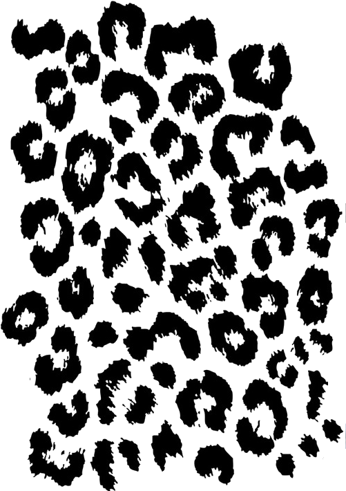 Leopard Png Images Pluspng - Leopard Png Images Pluspng (500x750)
