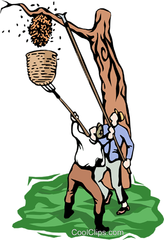 Removing A Hornet's Nest Royalty Free Vector Clip Art - Removing A Hornet's Nest Royalty Free Vector Clip Art (328x480)