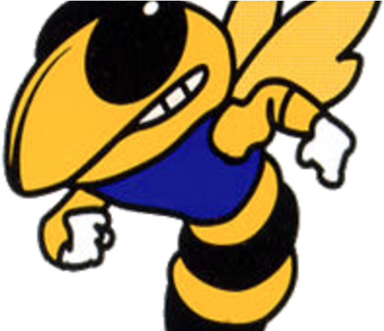 Hornet Clipart Cook County - Hornet Clipart Cook County (640x480)