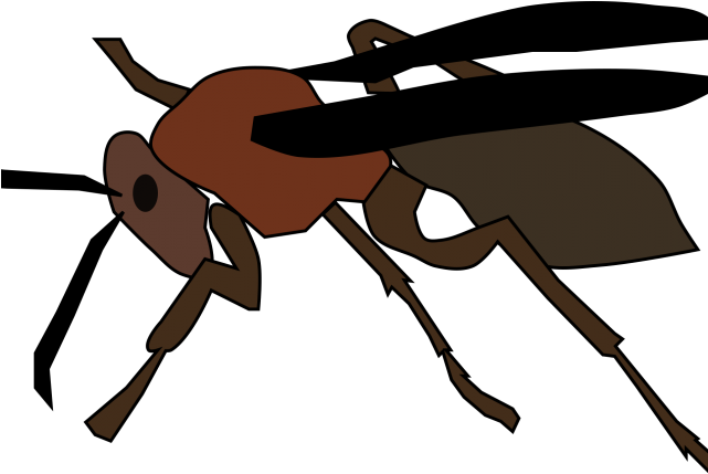 Wasp Clipart Paper - Wasp Clipart Paper (640x480)