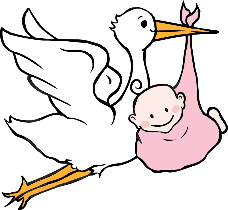 Svg Transparent Download Birth At Getdrawings Com Free - Svg Transparent Download Birth At Getdrawings Com Free (800x736)