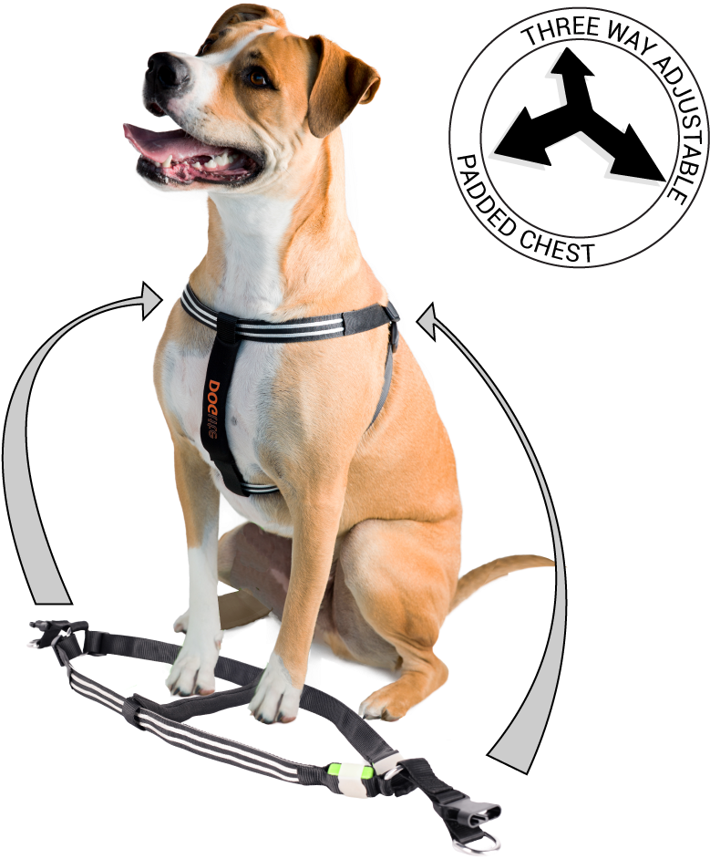Clipart Royalty Free Dog Clip Leash - Clipart Royalty Free Dog Clip Leash (1000x1000)