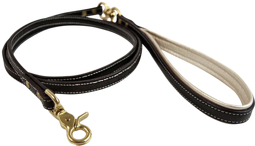Dog Leash Png - Dog Leash Png (1024x819)