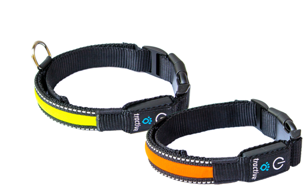 Led Clip Dog Collar - Led Clip Dog Collar (700x700)