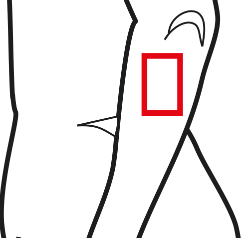 Regeneration Of Skin Tissue - Regeneration Of Skin Tissue (483x477)