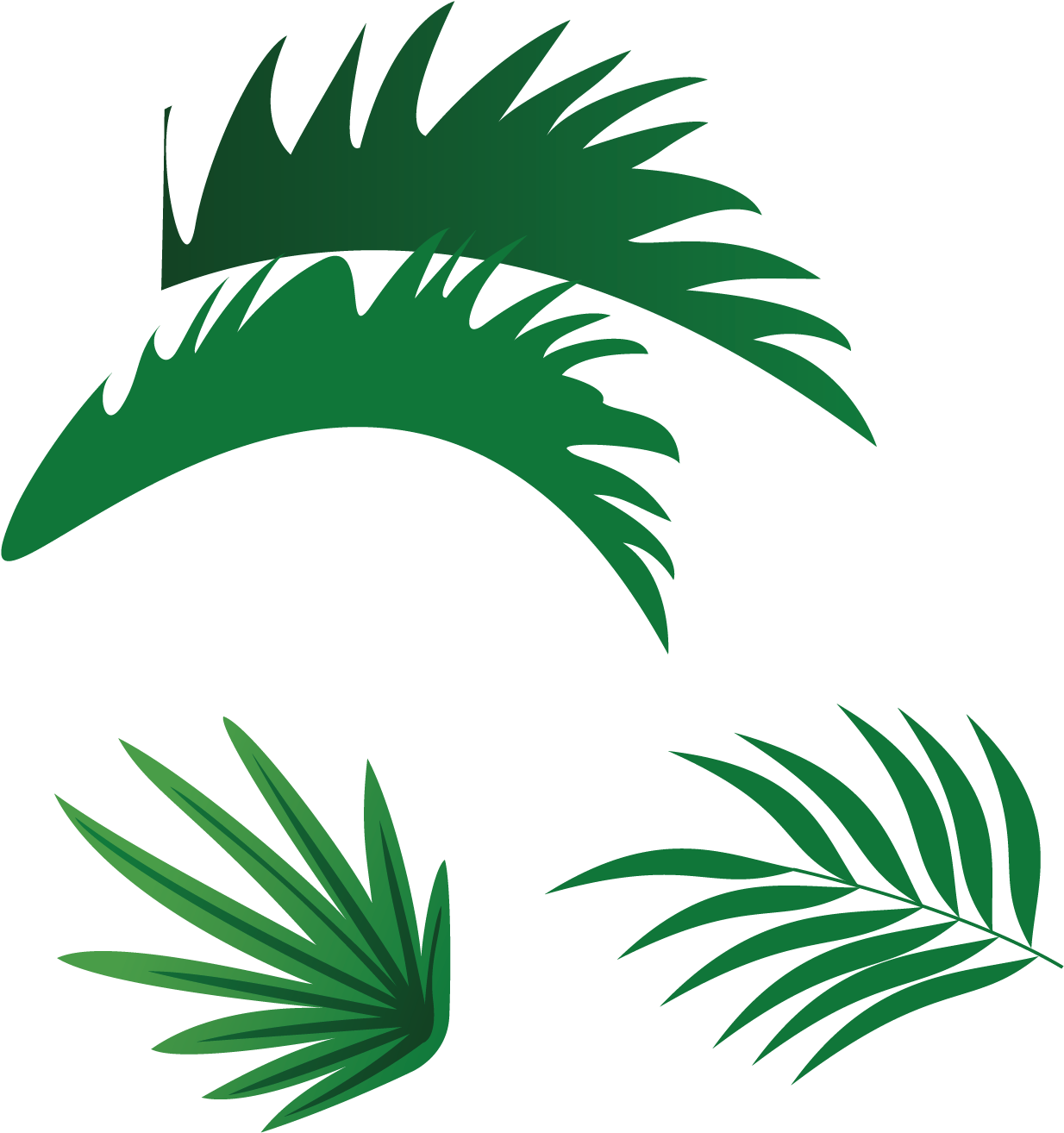 Vector Palm Tree Png - Vector Palm Tree Png (1500x1500)