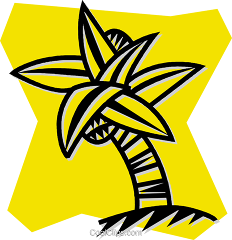 Palm Tree With Coconuts Royalty Free Vector Clip Art - Palm Tree With Coconuts Royalty Free Vector Clip Art (464x480)