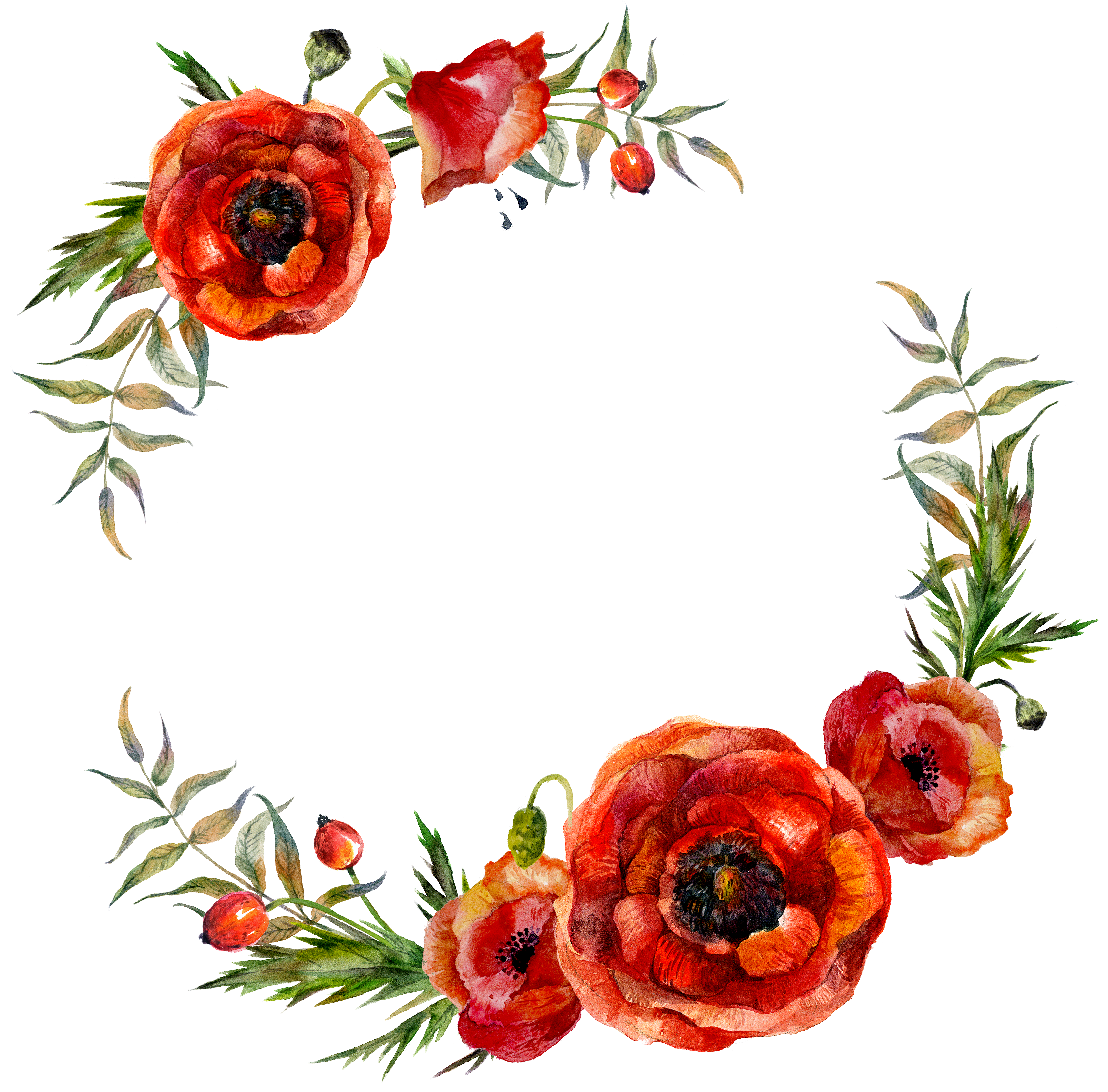 H269b Floral Wreath Watercolor, Watercolor Flowers, - H269b Floral Wreath Watercolor, Watercolor Flowers, (5000x5000)