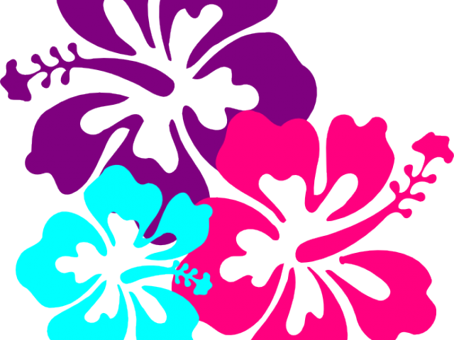 Hibiscus Clipart Transparent - Hibiscus Clipart Transparent (640x480)
