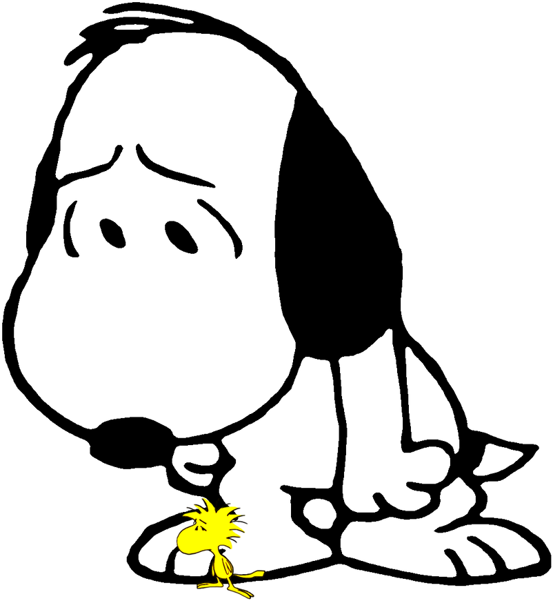 Snoopy Compartilha A Tristeza De Woodstock By Bradsnoopy97 - Snoopy Compartilha A Tristeza De Woodstock By Bradsnoopy97 (902x886)