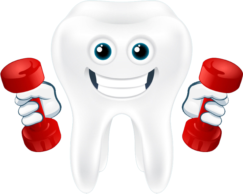 Clip Art Transparent Library Dumbbell Illustration - Clip Art Transparent Library Dumbbell Illustration (1024x1024)