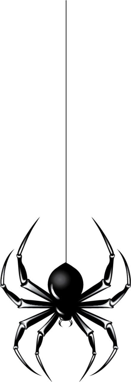 Halloween Spider Png File - Halloween Spider Png File (472x1328)