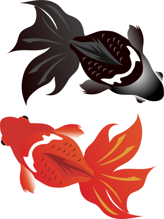 Goldfish Copyright-free Public Domain - Goldfish Copyright-free Public Domain (562x750)