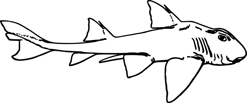 Collection Of Jackson - Collection Of Jackson (800x336)