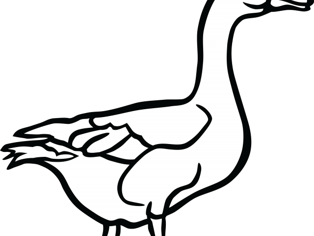 Duckling Clipart Duckblack - Duckling Clipart Duckblack (640x480)
