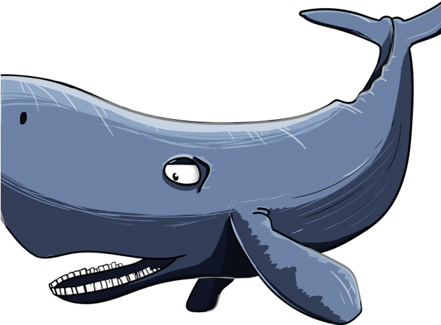 Sperm Whale Clipart Watercolor - Sperm Whale Clipart Watercolor (640x480)