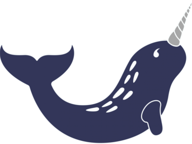 Narwhal Clipart Aesthetic - Narwhal Clipart Aesthetic (640x480)