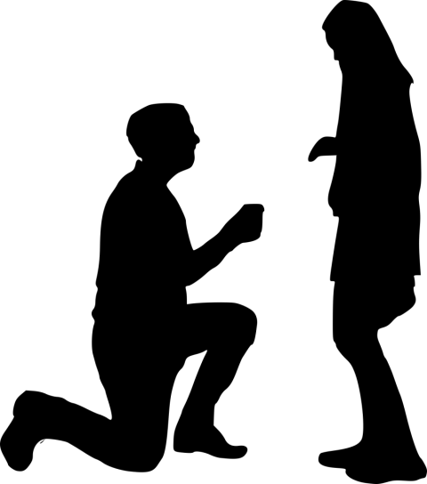 Free Png Proposal Silhouette Png - Free Png Proposal Silhouette Png (480x544)