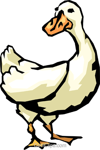 Duck Royalty Free Vector Clip Art Illustration - Duck Royalty Free Vector Clip Art Illustration (321x480)
