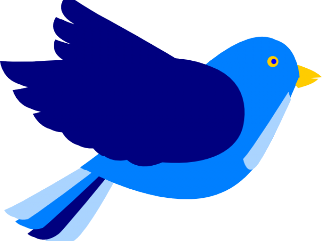 Songbird Clipart Baby Shower - Songbird Clipart Baby Shower (640x480)