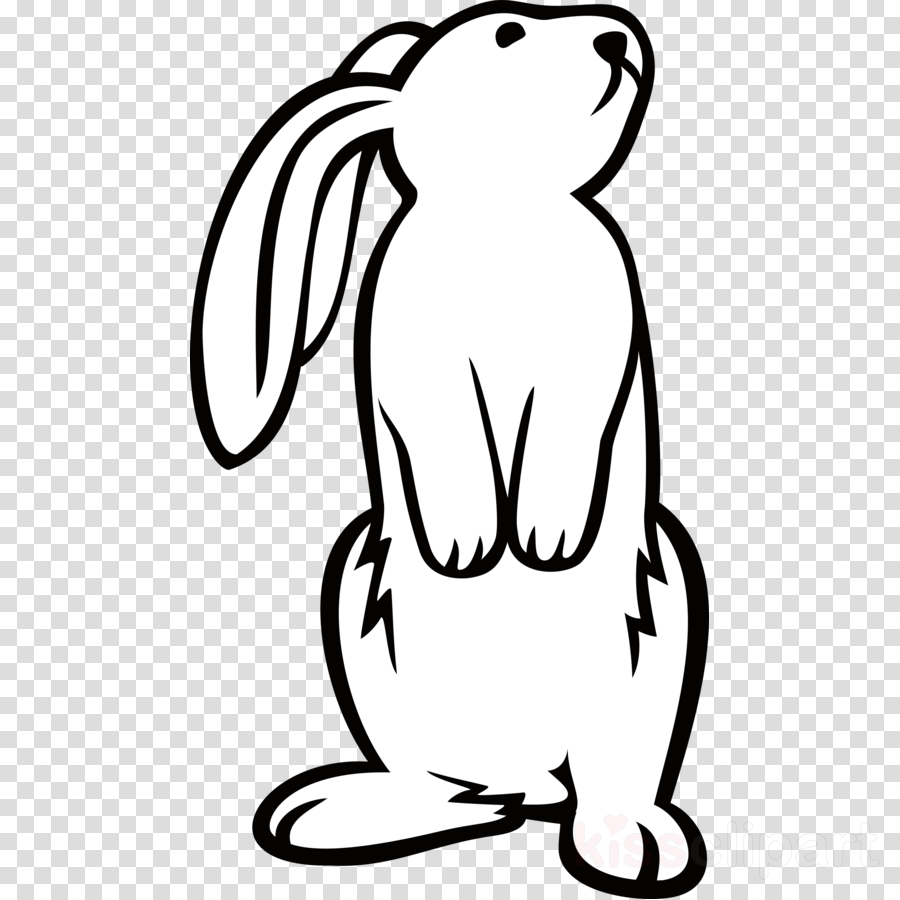 Rabbit Standing Clipart Easter Bunny Rabbit Clip Art - Rabbit Standing Clipart Easter Bunny Rabbit Clip Art (900x900)