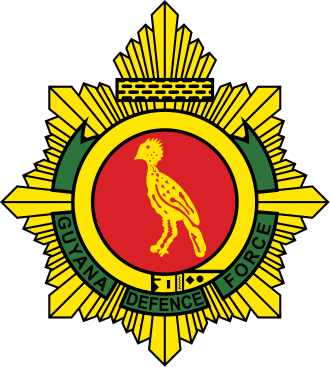 Guyana Defence Force Fc - Guyana Defence Force Fc (330x367)