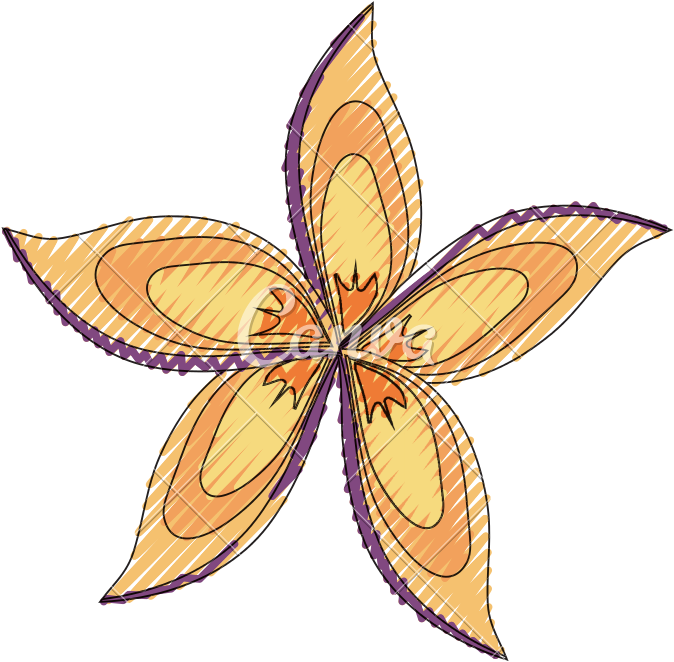 Beautiful Flower Symbol - Beautiful Flower Symbol (800x800)