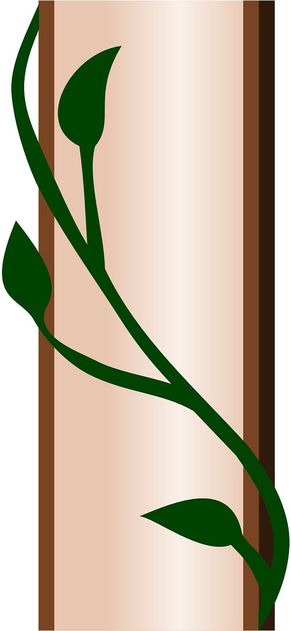 Vine,climbing Plant,creeper,free Vector - Vine,climbing Plant,creeper,free Vector (640x1280)