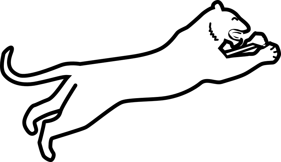 Bobcat Clip Art Coloring Page, Printable Bobcat Clip - Bobcat Clip Art Coloring Page, Printable Bobcat Clip (960x553)