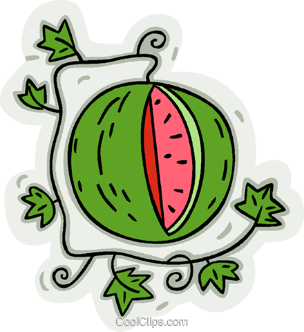 Watermelon On Vine Royalty Free Vector Clip Art Illustration - Watermelon On Vine Royalty Free Vector Clip Art Illustration (440x480)