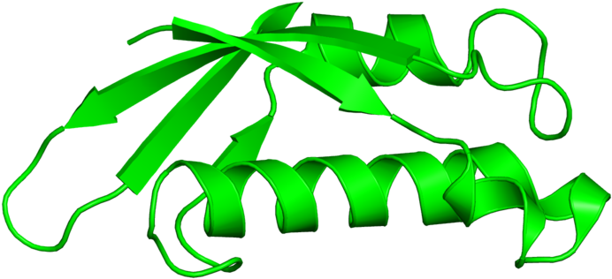 <div Class='caption-body'>1 Copy Of Cath Domain < - <div Class='caption-body'>1 Copy Of Cath Domain < (800x800)