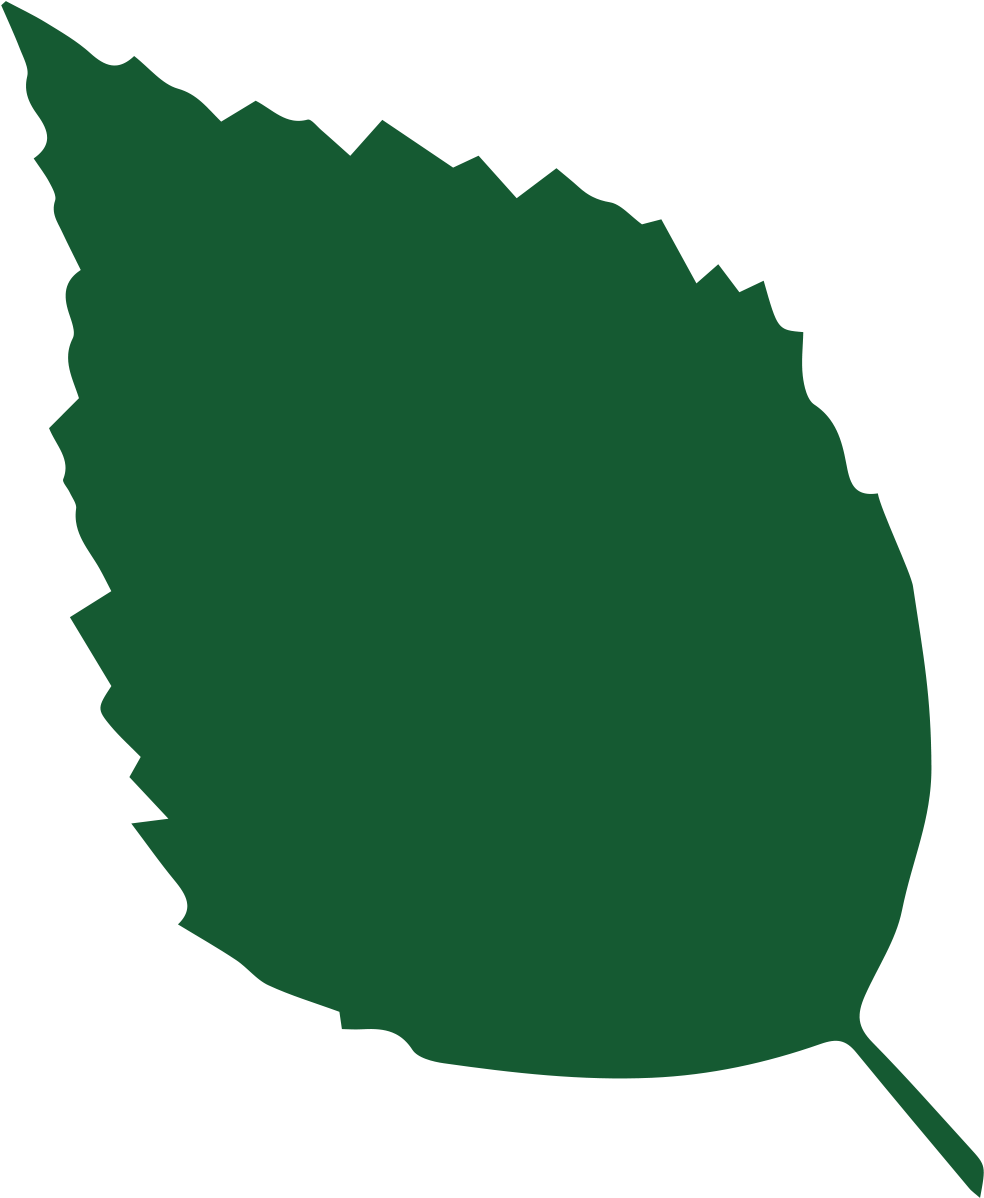 Leaf Clipart Woodland - Leaf Clipart Woodland (1417x1417)