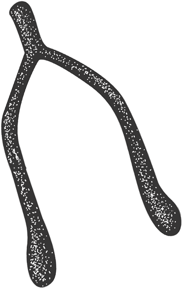 Les Meilleures Traditions Portent Chance, Mais Aussi - Les Meilleures Traditions Portent Chance, Mais Aussi (365x587)