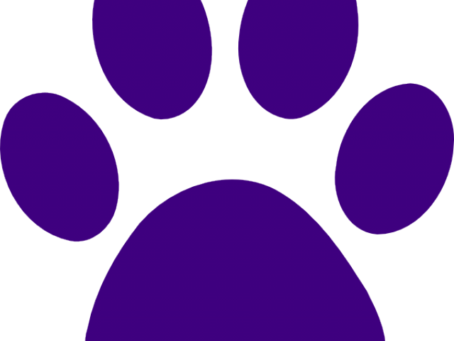 Cougar Clipart Paw Print - Cougar Clipart Paw Print (640x480)