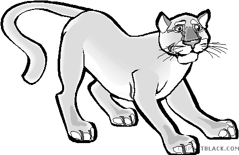 Clipart Black And White Download Cougar Clipart - Clipart Black And White Download Cougar Clipart (490x328)